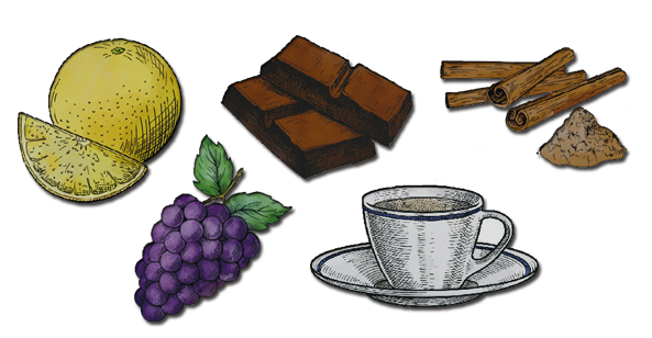 フレーバーイメージ